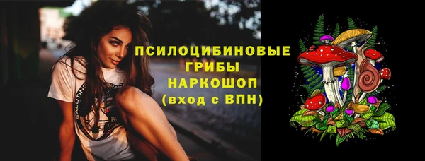 прущий лед Алзамай