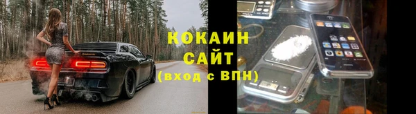 стаф Аркадак