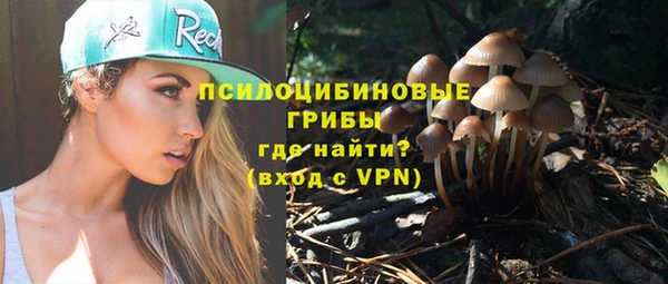 прущий лед Алзамай